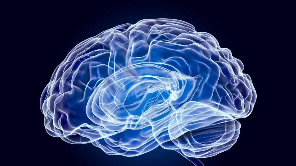 31 Tips to Boost Your Mental Health mental health