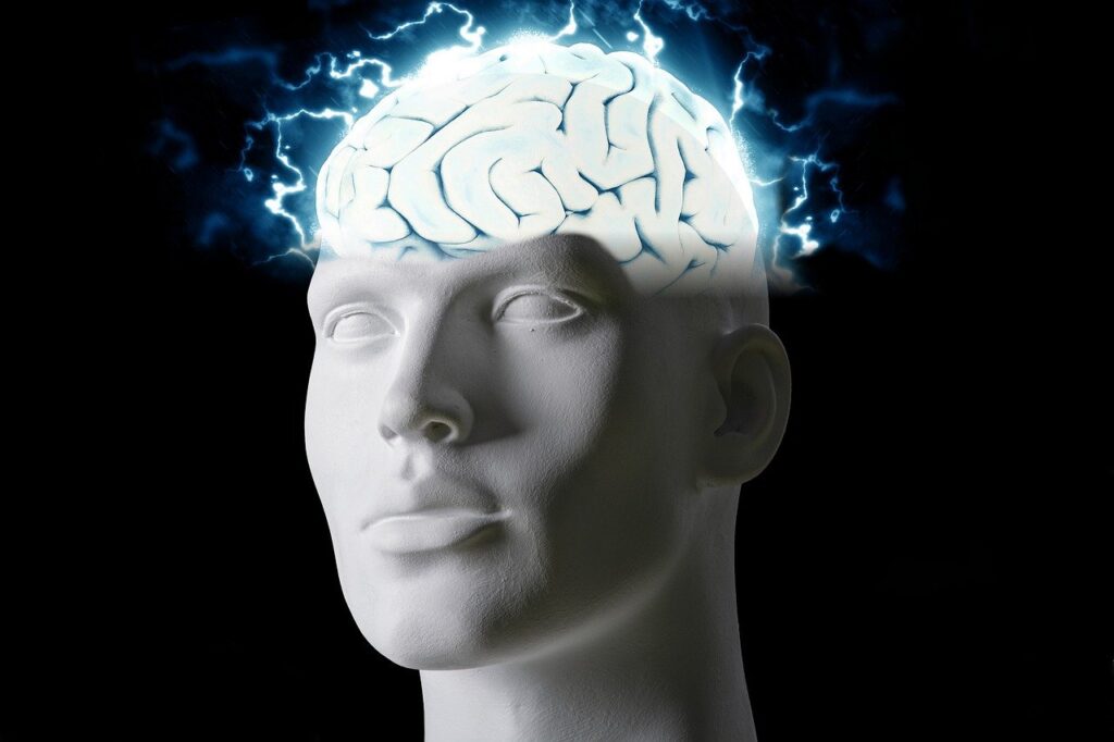 brain-5885161_1280